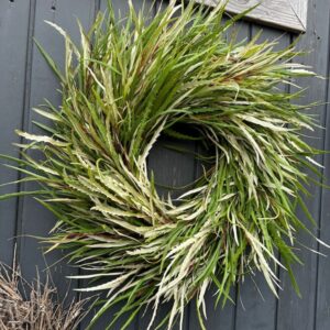 Krans van Grevillea blad